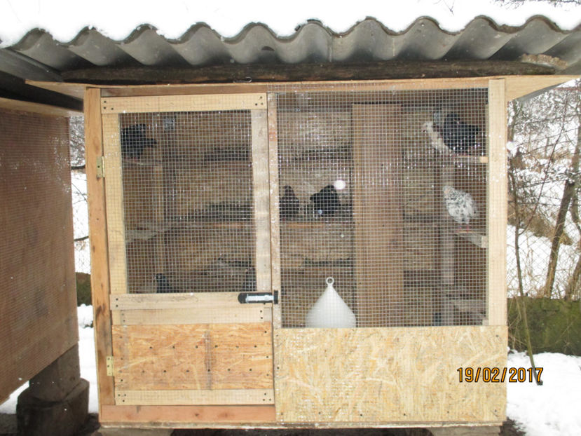  - 1 CASUTE ROLLERI DE BIRMINGHAM