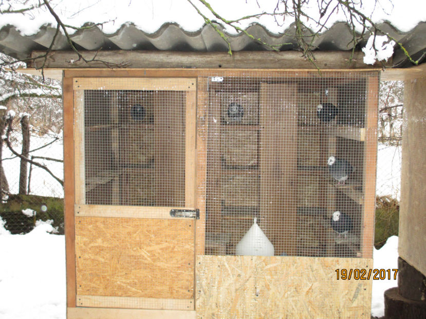  - 1 CASUTE ROLLERI DE BIRMINGHAM