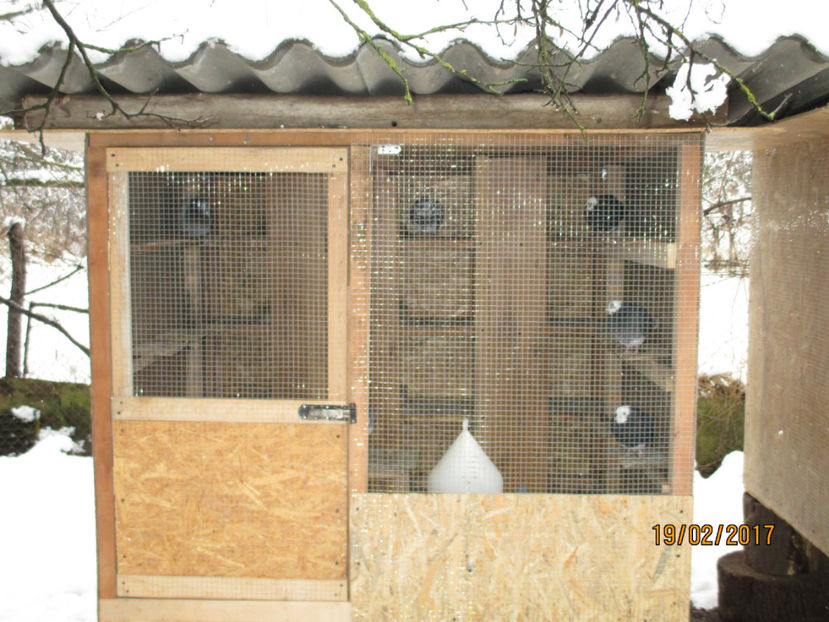  - 1 CASUTE ROLLERI DE BIRMINGHAM