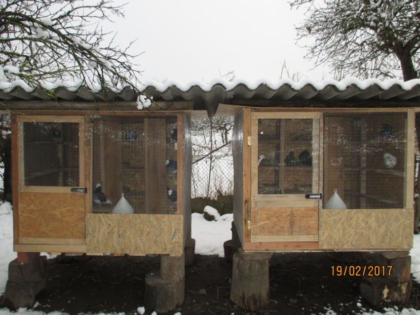  - 1 CASUTE ROLLERI DE BIRMINGHAM