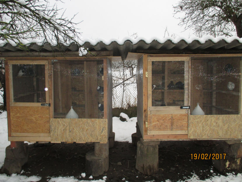  - 1 CASUTE ROLLERI DE BIRMINGHAM