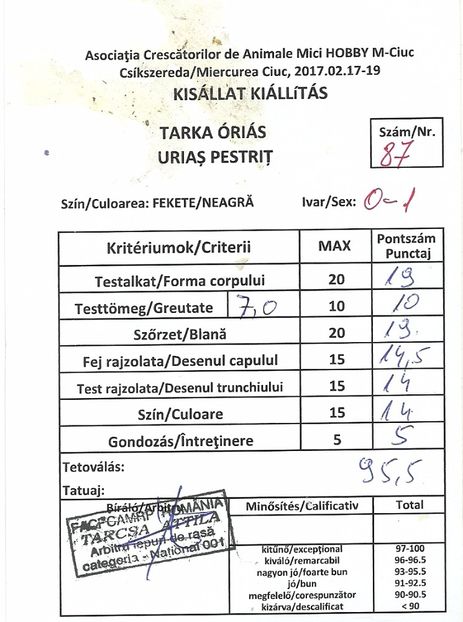 scan0007 - anya 10-femela 10