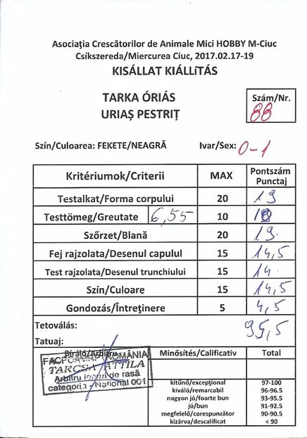 scan0001 - 01-REZULTATELE CUPE DIPLOME