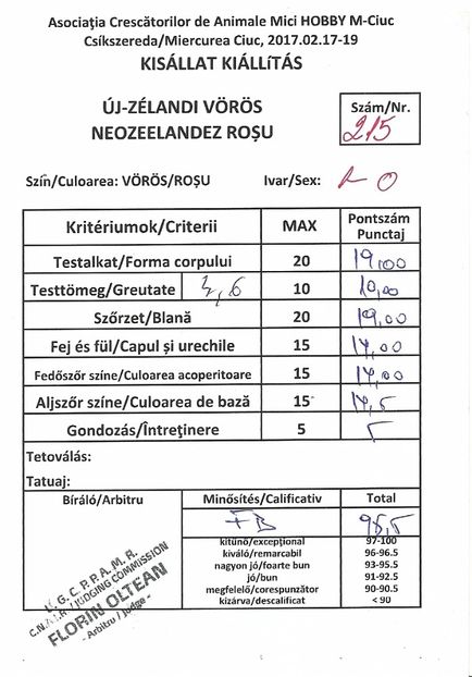 scan0009 - 01-REZULTATELE CUPE DIPLOME