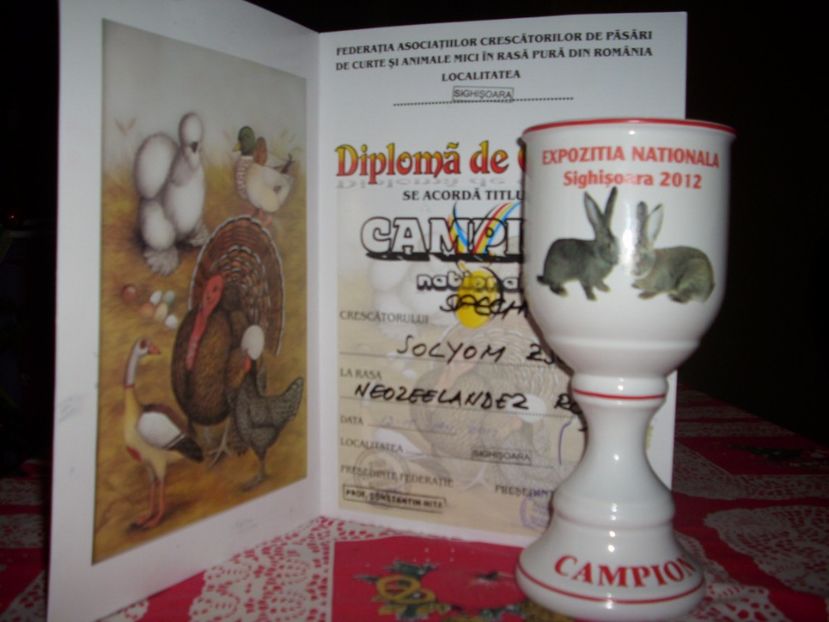 orszagos fajtagyoztes1 - 01-REZULTATELE CUPE DIPLOME