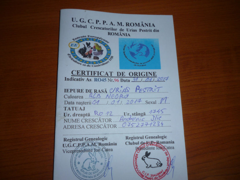 P1020355 - 0 mascul 1