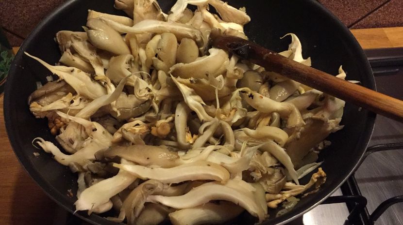 Ciuperci pleurotus trase la tigaie - 1000 PAPA BUN 3 - andruta