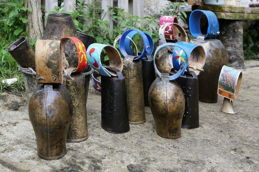 Clopote nu gluma frate,,,,,, - Rase de oi si capre poze deosebite 13