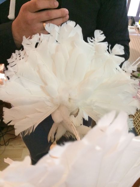  - Voltati indieni 2017