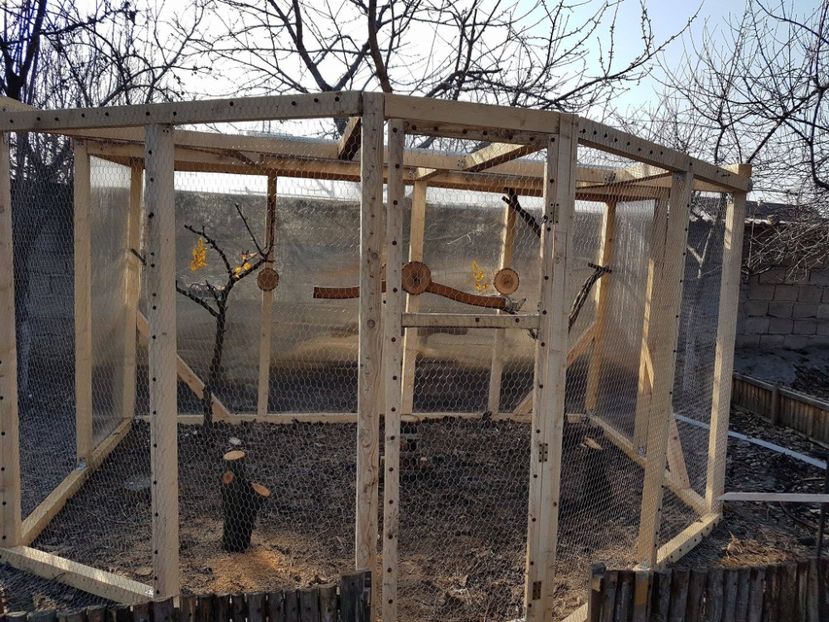 AM TERMINAT - VOLIERE