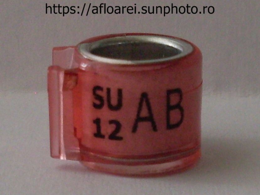 SU 12 AB - SCOTIA-SU