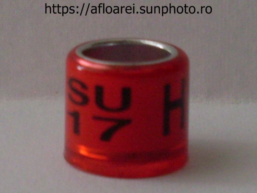 SU 17 HI - SCOTIA-SU