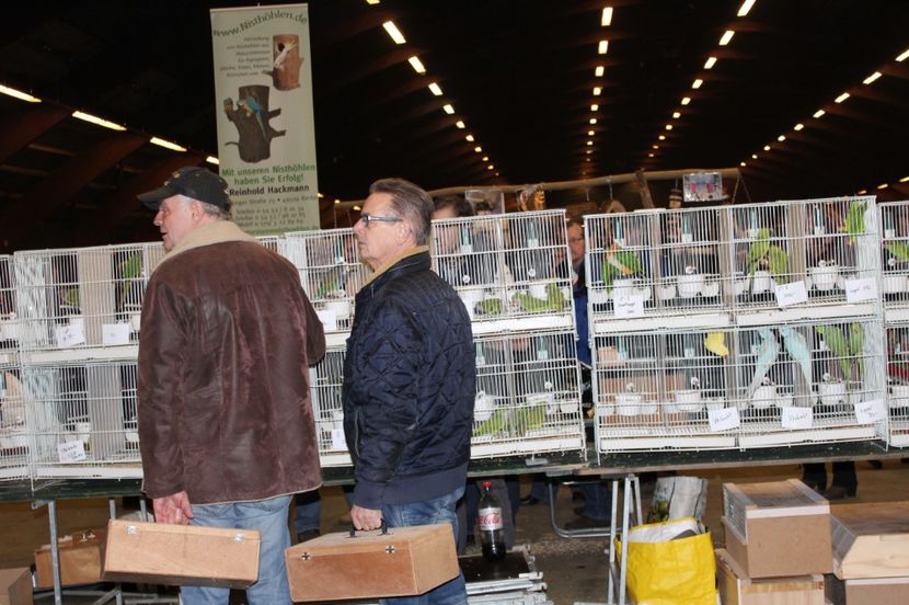  - 1B  Zwolle 2017 Olanda