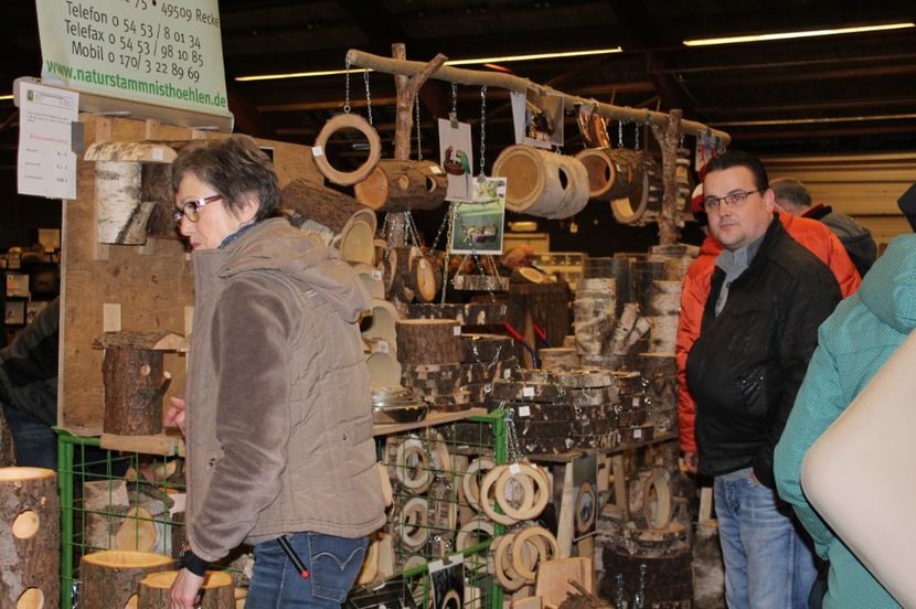  - 1B  Zwolle 2017 Olanda