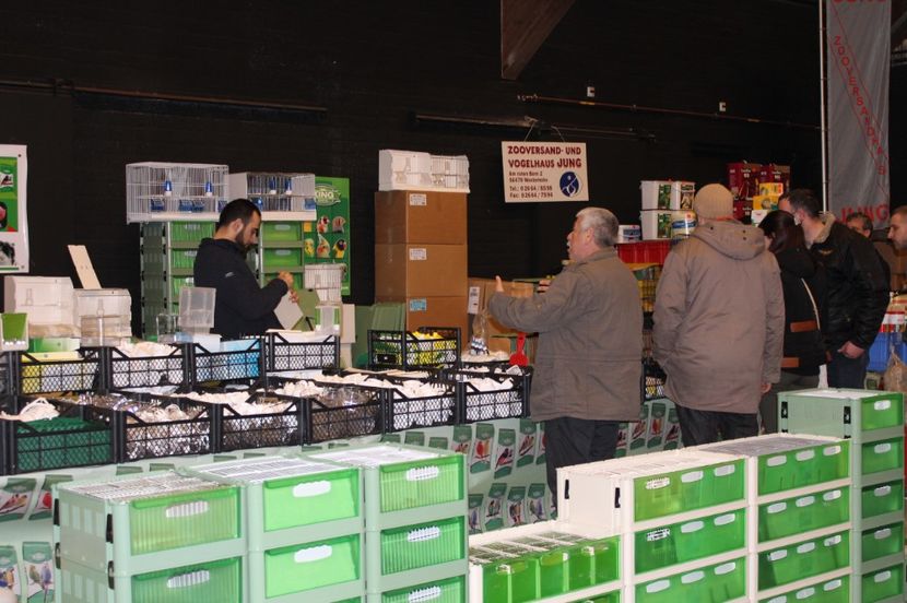  - 1B  Zwolle 2017 Olanda