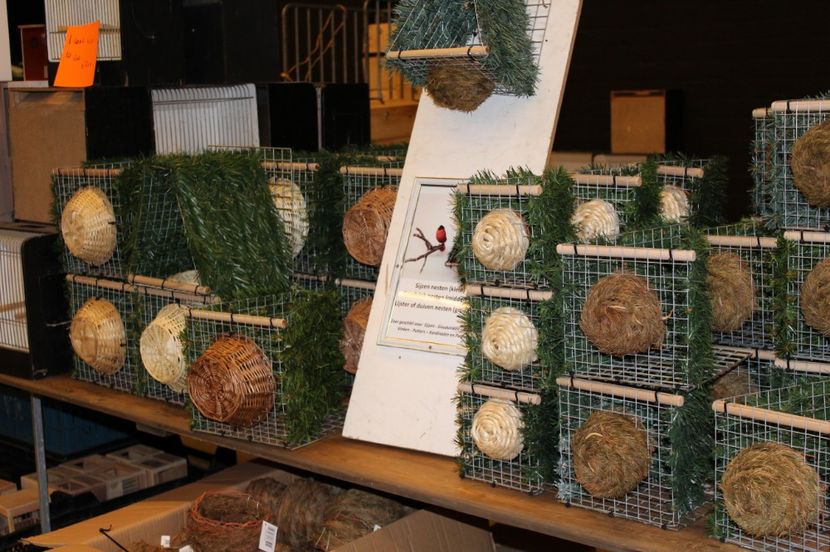  - 1B  Zwolle 2017 Olanda