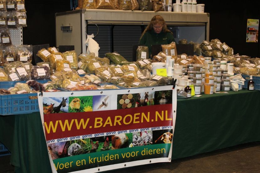  - 1B  Zwolle 2017 Olanda