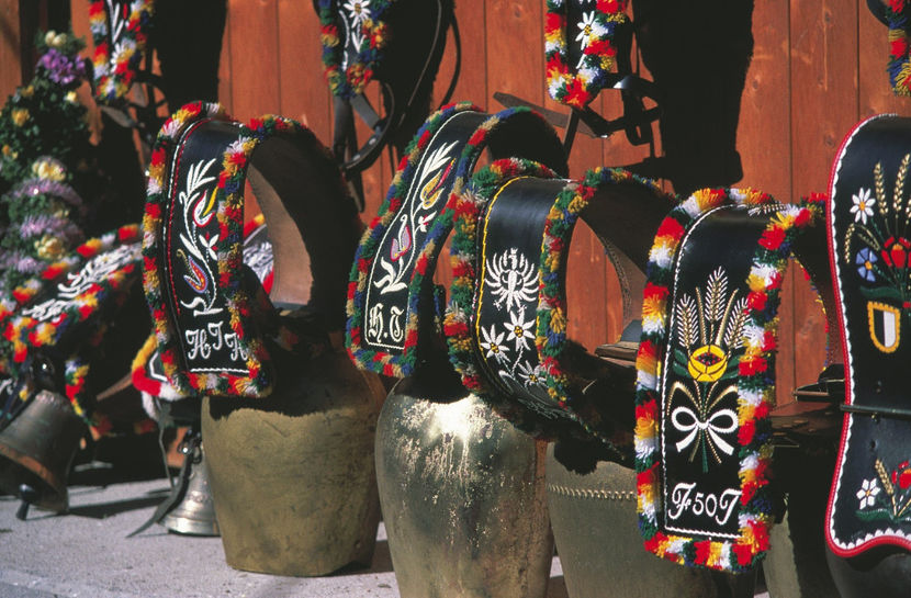 Clopote  pt vaci-43 - RASE DE VACI FRUMOASE-2