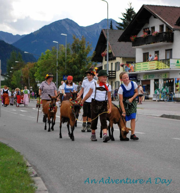 Copii si Alpinele-765 - Rase de oi si capre poze deosebite 13