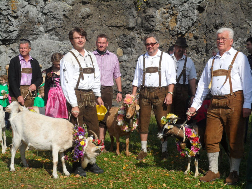 La noi inca este mentalitatea ca ,,Caprele,, sant dracul  , mananca pomii si put - Rase de oi si capre poze deosebite 13