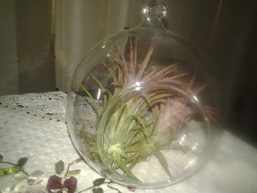 2017-02-22 07.24.33 - Februarie 2017