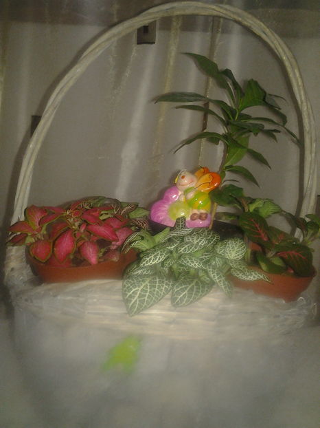 2017-02-22 07.24.53 - Februarie 2017