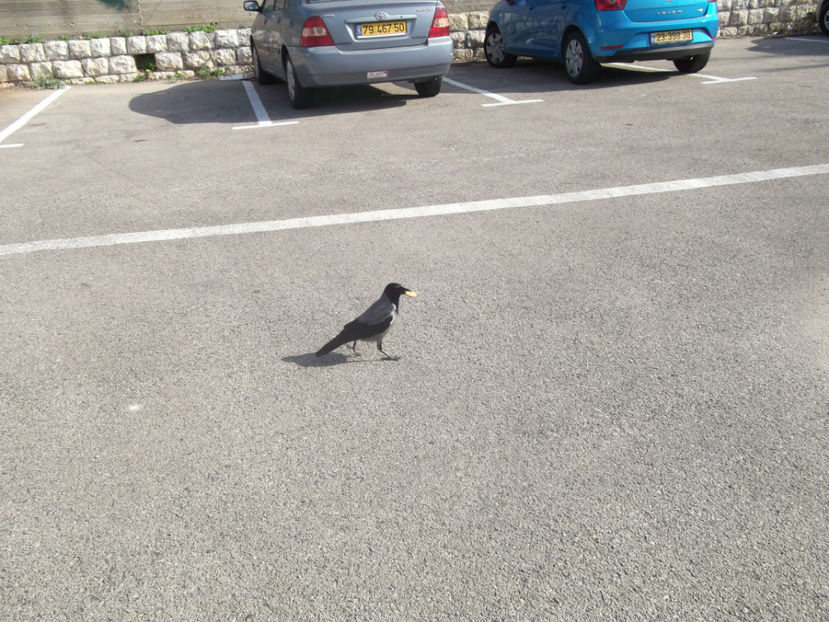 in schimb am hranit un corb...;))) - prima zi de pelerinaj