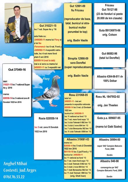 femela Mihai anghel - porumbei mei