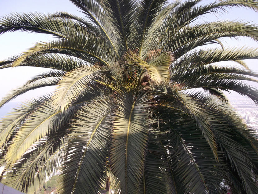  - prima zi de pelerinaj