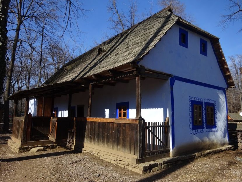  - 0 Muzeul Satului feb 2017