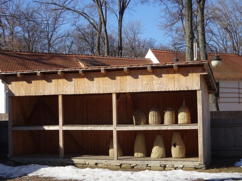  - 0 Muzeul Satului feb 2017