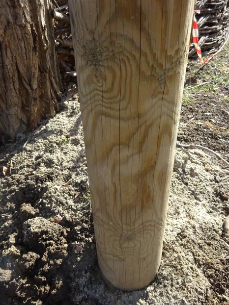  - 0 Muzeul Satului feb 2017