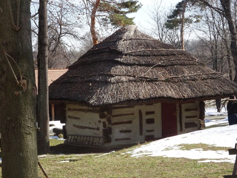  - 0 Muzeul Satului feb 2017