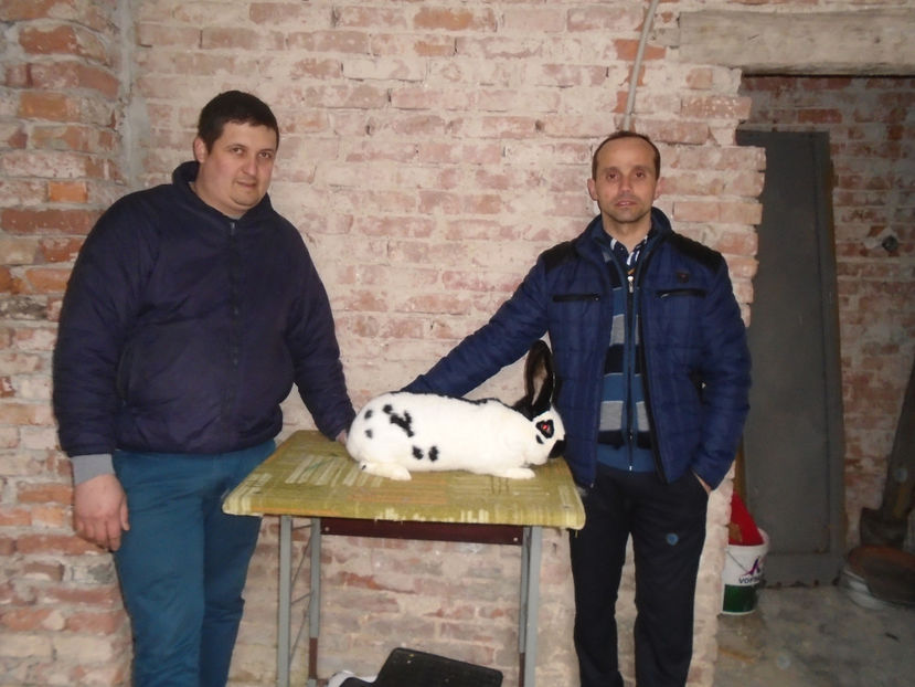 cu Dl Blaj Emilian - 0-CONTACT