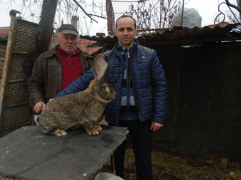 cu dl Imi - 0-CONTACT