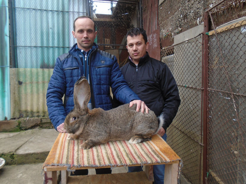 cu Catalin Erdei - 0-CONTACT