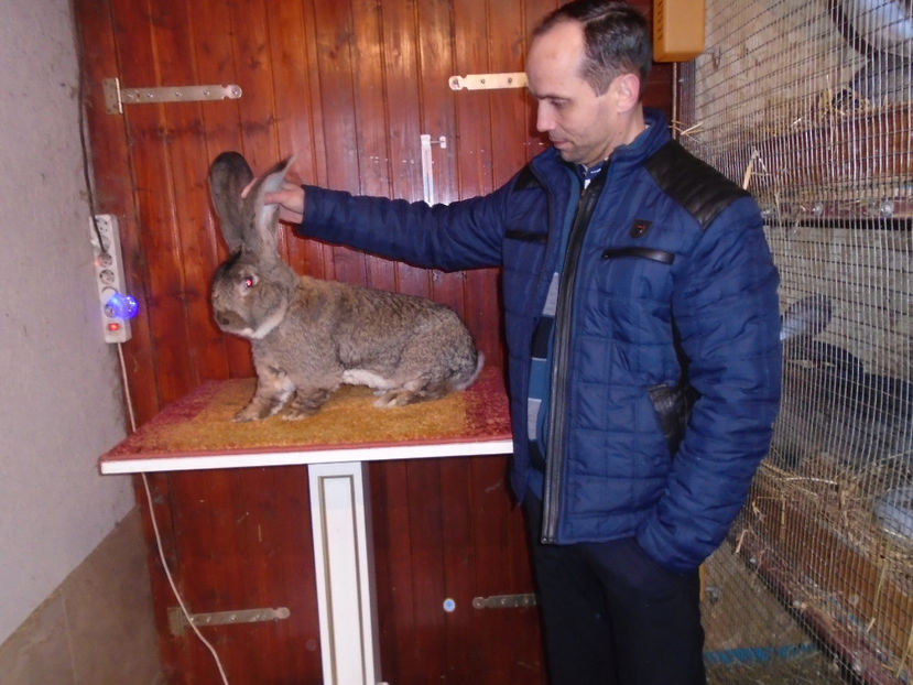 campion european 98 pc - 0-CONTACT