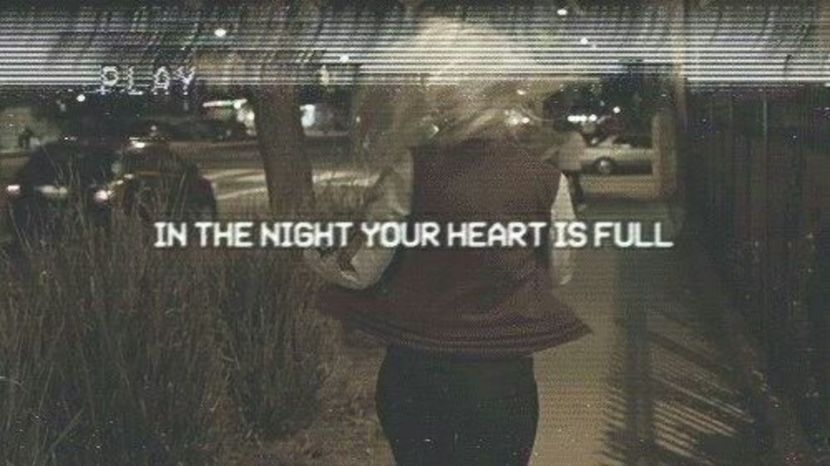 image - the girl who sold the world