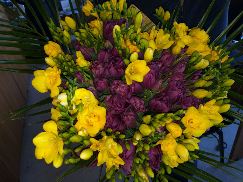 Primavara - 0 Contact