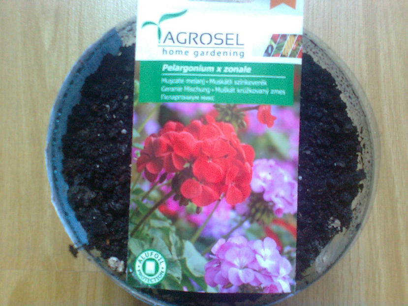 ...puse la germinat- 23-02 -2017 - MUSCATE -2017 - 2018