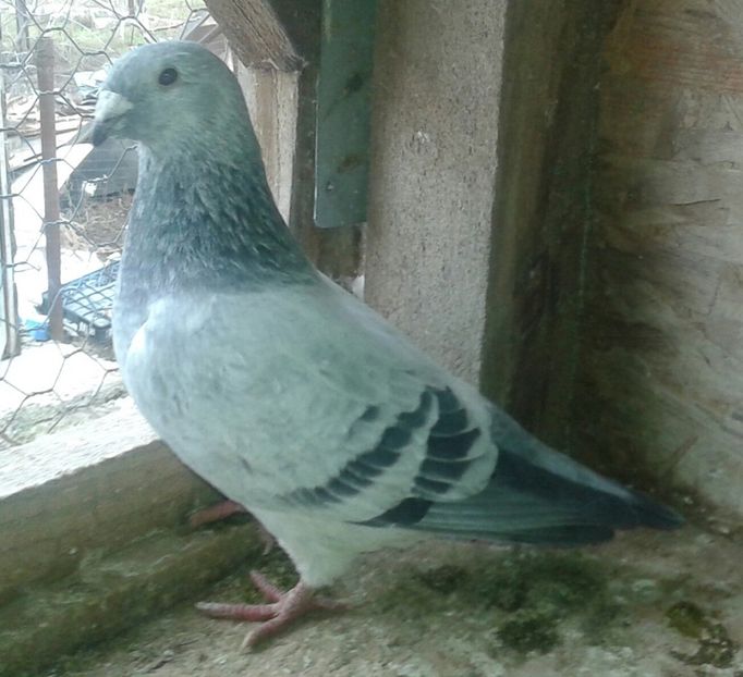 20170221_135814-1 - Contact