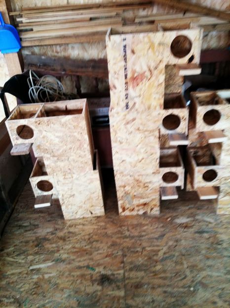 pt 2017 Fhd - CONTACT