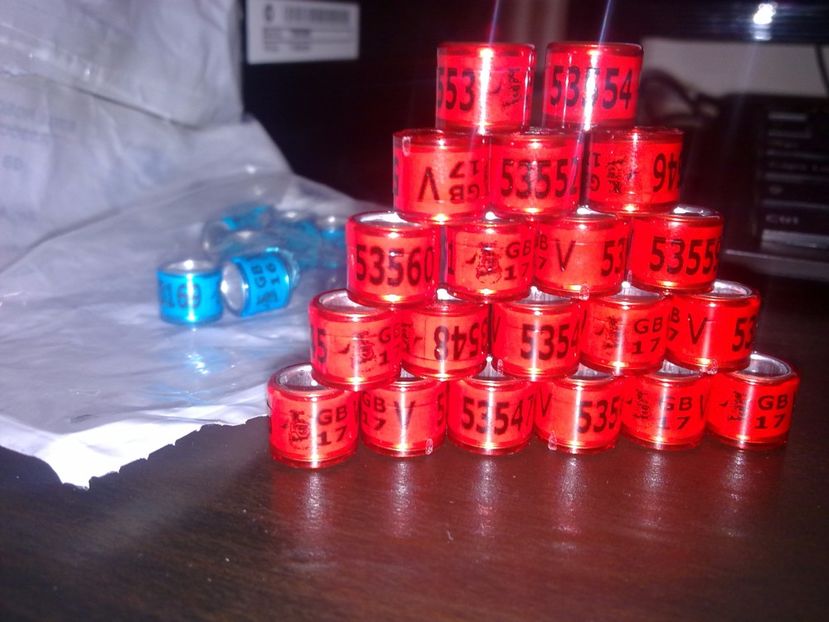 inele GB 2017 - Inele straine- NL - GB - DV -BELG