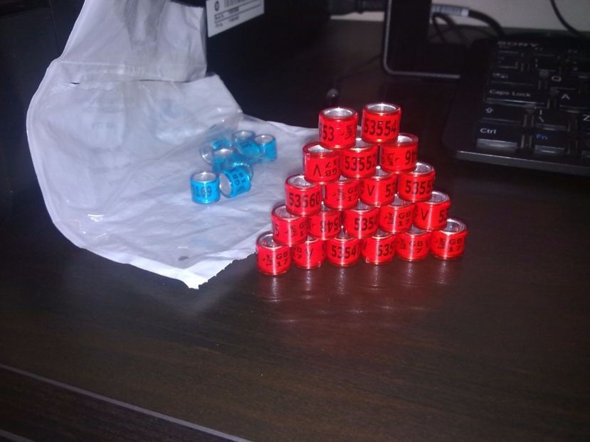 inele GB-2017 - Inele straine- NL - GB - DV -BELG