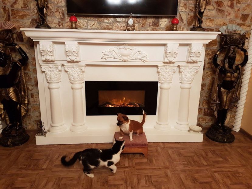 bataia pe podium - CONTACT