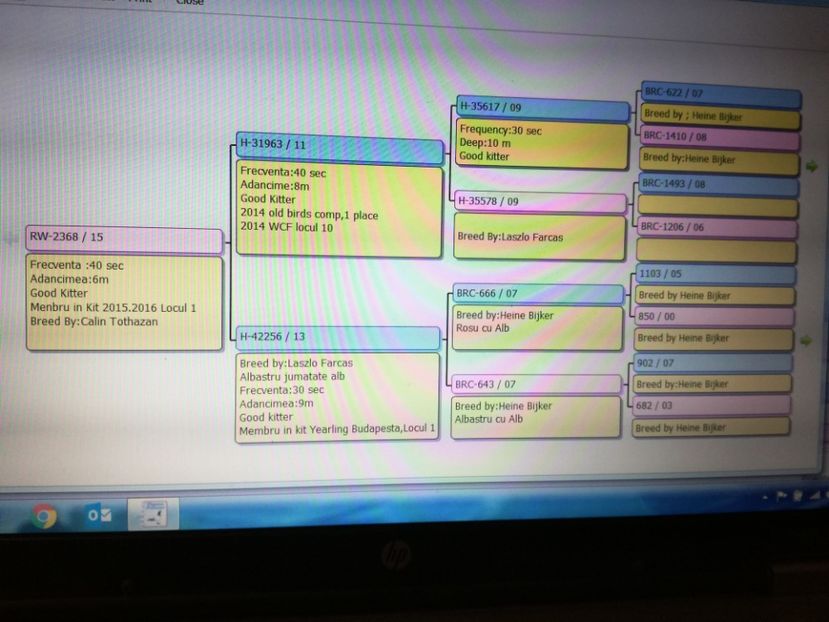  - Pedegree si premii