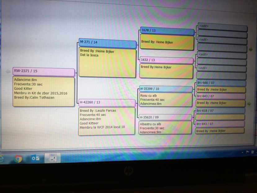  - Pedegree si premii