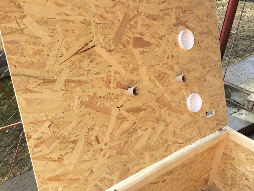  - 6-Maternitate pui de gaina