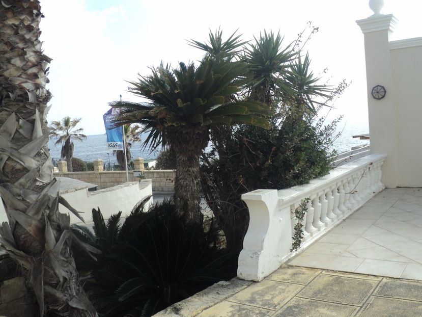  - 18-02-2017 HOTEL GOLDEN TULIP VIVALDI DIN PACEVILLE SI VIZITA LA MDINA