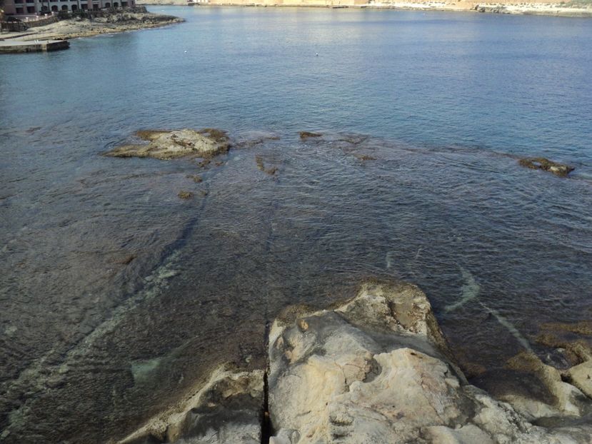  - 18-02-2017 HOTEL GOLDEN TULIP VIVALDI DIN PACEVILLE SI VIZITA LA MDINA